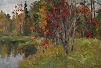 Rowan by the pond. Serebrennikova Larisa