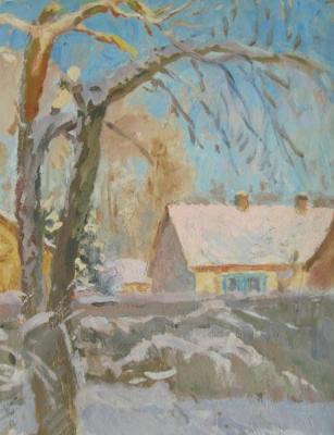 Winter sketch (Novomoskovsk). Rudin Petr