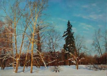 Trees in the snow. Marienburg. Gatchina. Egorov Viktor