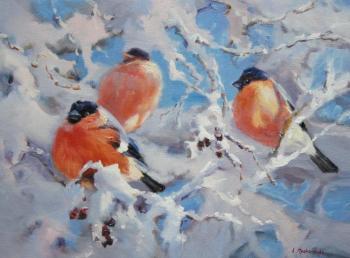 ������� ��������