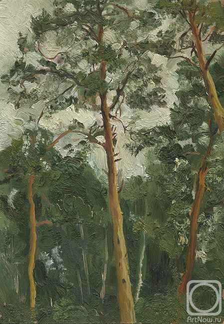 �������. ������ �����. ����� (����)