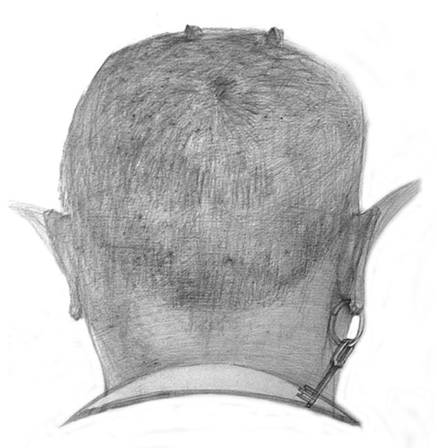 �������. �������� ��������. ��������