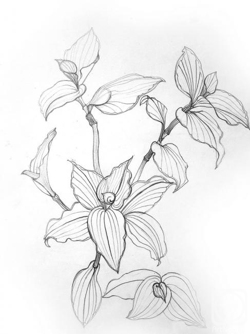 �������. ���������� �������. �����