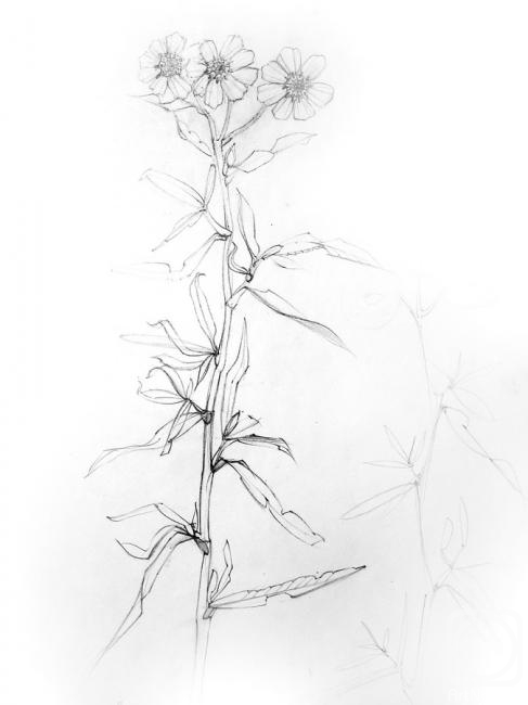 �������. ���������� �������. �����