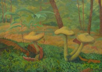 A Company Of Mushrooms. Dementiev Alexandr