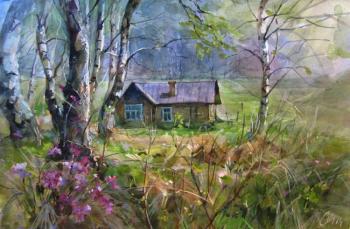 In forest on the edge