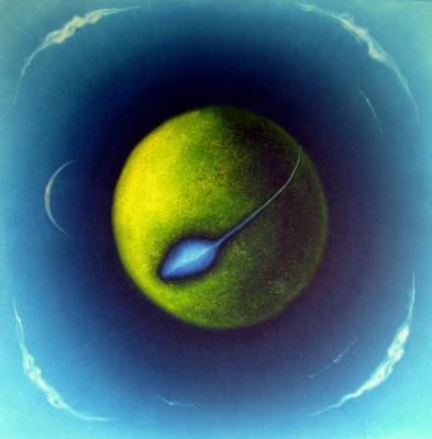 ������� ������ ������. ������