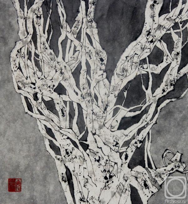 �������. ������� ����. �� ����� �������� �������