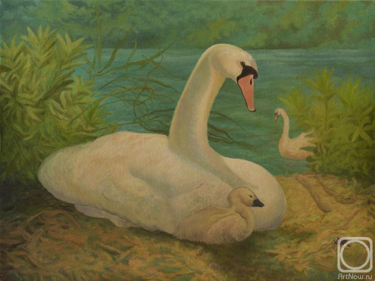 Dementiev Alexandr. Swan family at the river