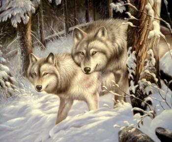 Painting Wolfs. Minaev Sergey