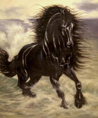 Horse. Bruno Tina