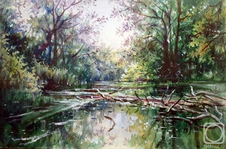 �������. ������� �������. ����