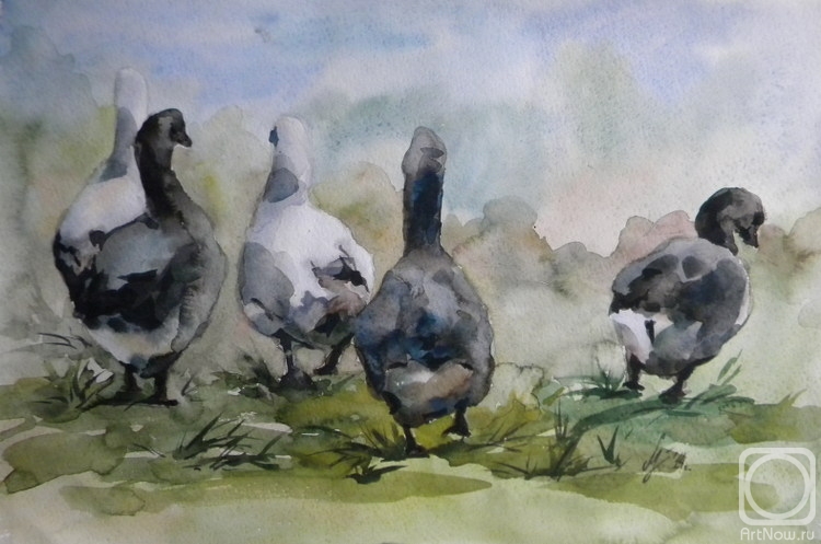 �������. ������� �����. ����