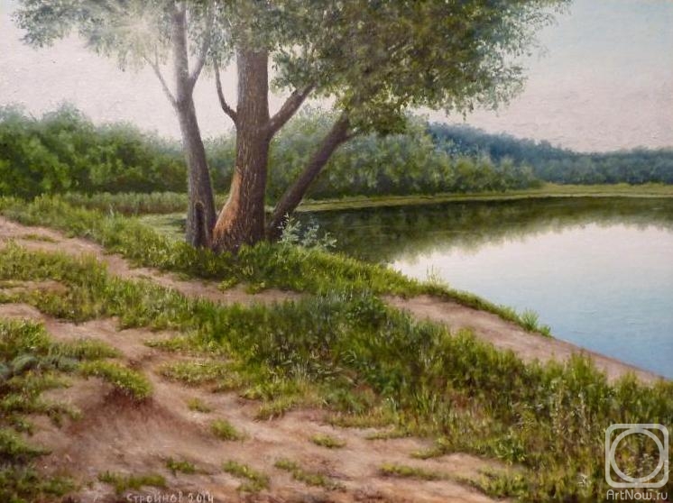 Stroynov Vitaly. Guardians of the lake