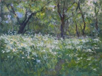 ������� ���� ���������