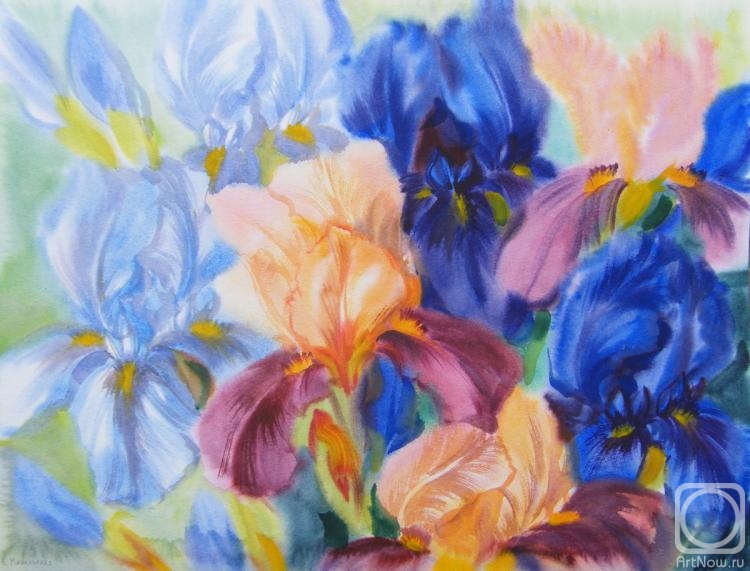 �������. ���������� ���������. � �������� �����