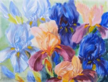 ������� �� �������� ������