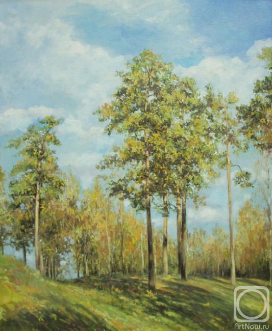 ������� ������ �� ������. ���������� �����. ������ ����