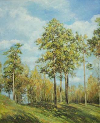 ������ ����. ���������� �����