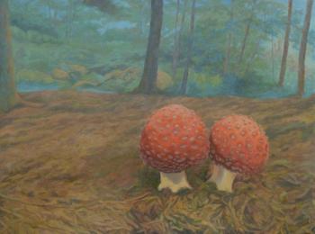 ������� ��� ������� � ���������