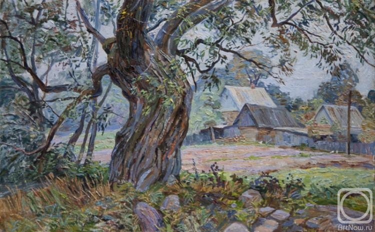 Bikashov Dimitrii. Old willow on the outskirts of the village of Lyakhovshchina