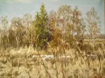 ������� �������� �����