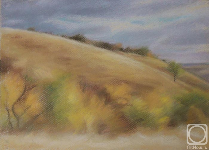 �������. ������� ���������. �����