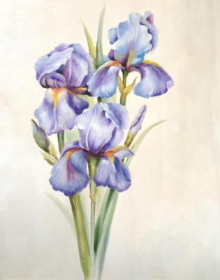 Irises. Minaev Sergey