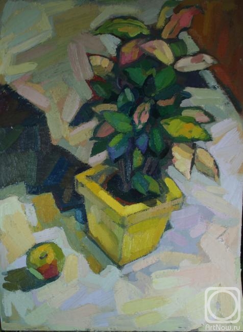 �������. �������� ������. ������� ��������