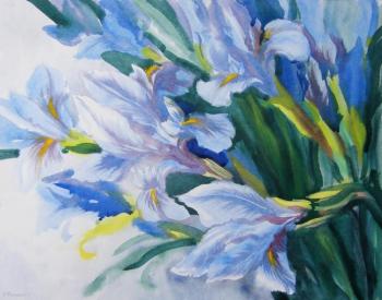 ������� ������ �������