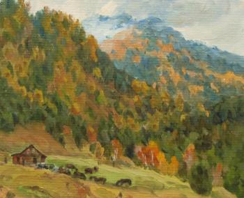 Autumn in the mountains. Rudin Petr
