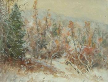 Rudin Petr Maksimovich. Winter forest