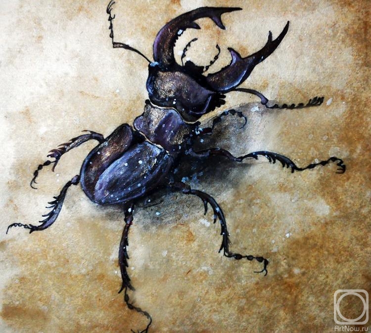 Knyazheva-Balloge Maria. Stag-beetle (facile copy of Albrecht D&#252;rer drawing)