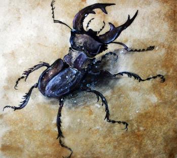Stag-beetle (facile copy of Albrecht D&#252;rer drawing). Knyazheva-Balloge Maria