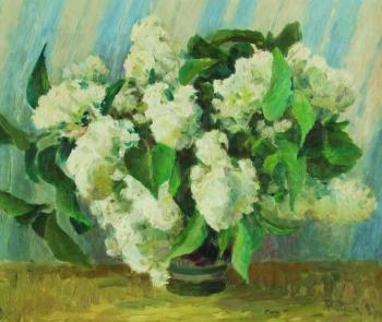 White lilac. Rudin Petr