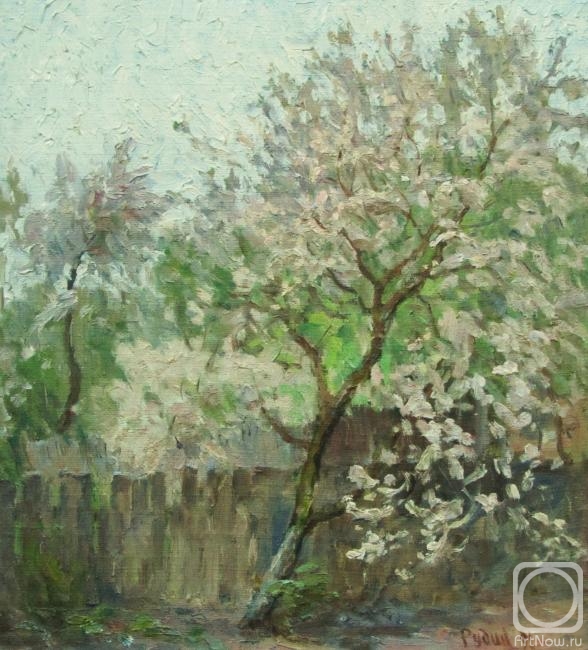 Rudin Petr. The Apple tree blossoms
