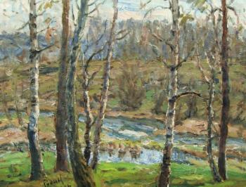 Rings streams. Rudin Petr