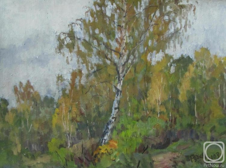 Rudin Petr. Birch. Autumn