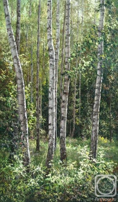 Burmakin Evgeniy. Birch Grove
