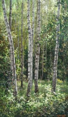 Birch Grove. Burmakin Evgeniy