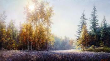 In a forest clearing. Burmakin Evgeniy