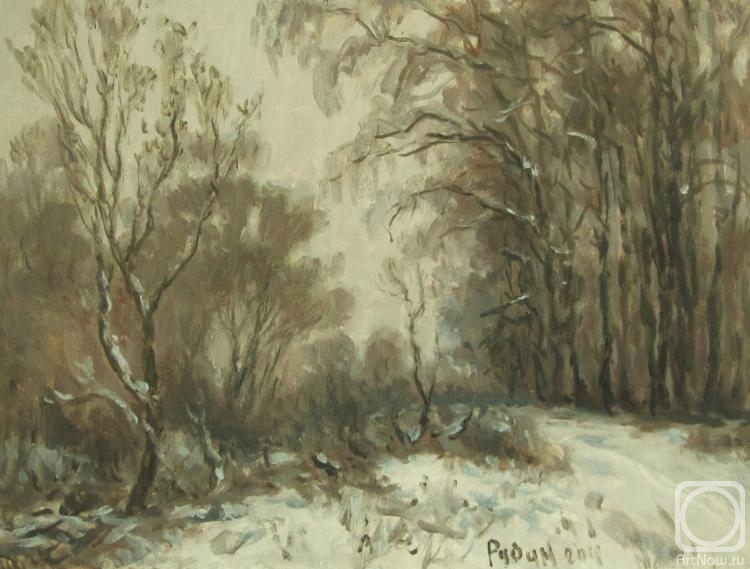 Rudin Petr. Winter in the old Park