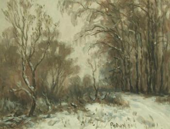 Winter in the old Park. Rudin Petr