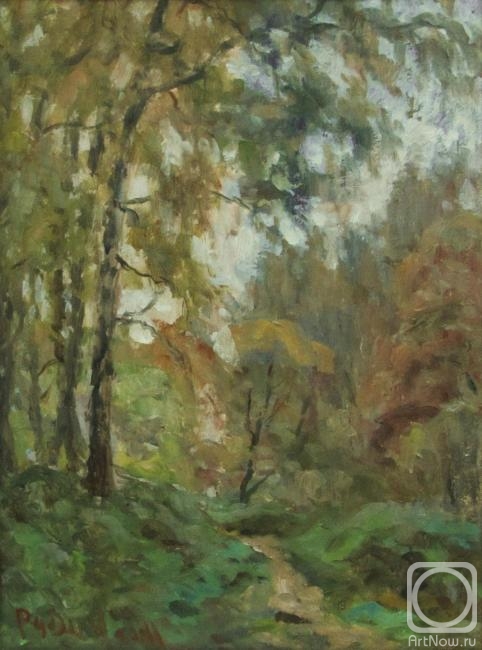 Rudin Petr. Autumn path