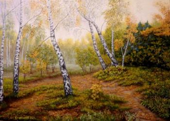 Forest dancing birches. Stroynov Vitaly