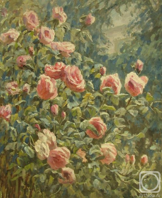 Rudin Petr. Roses in the garden