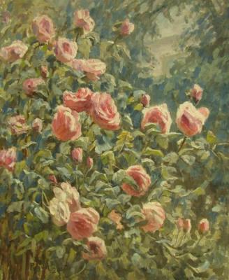 Roses in the garden. Rudin Petr