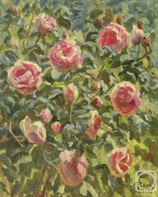 Rudin Petr. Roses under the sun