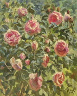 Roses under the sun. Rudin Petr