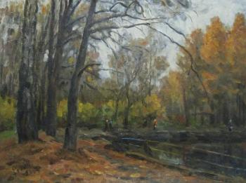 The source of the river don (Novomoskovsk). Rudin Petr